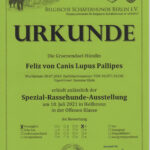 Spezial-Rassenhunde-Ausstellung
