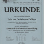 Spezial-Rassenhunde-Ausstellung